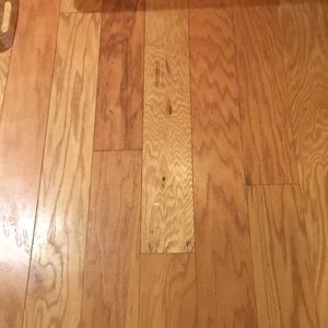 Meet your Posher, Noah